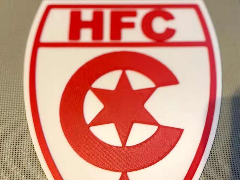 Hallescher FC e.V. Logo Schild