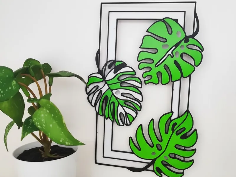 Monstera frame