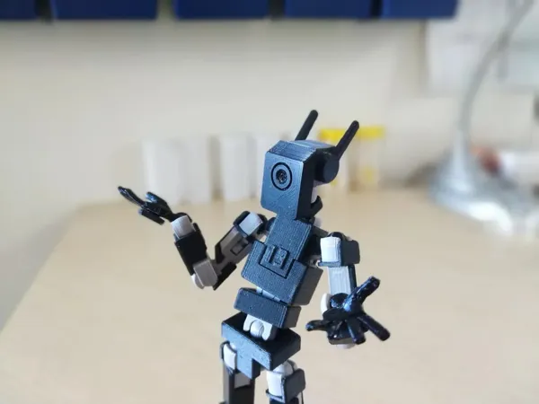 https://makerworld.bblmw.com/makerworld/model/US46b53ae0f5eae0/design/2024-01-20_c294fb4c9097c.jpg