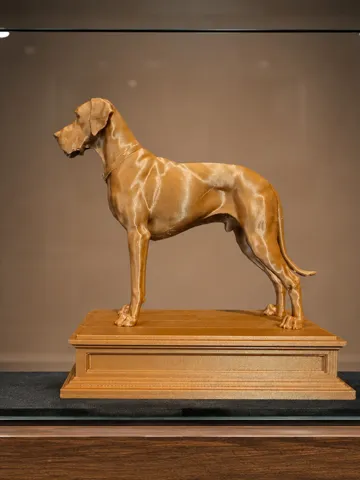 Figura decorativa: Great Dane (Deutsche Dogge) Decorative Statue — vista de referencia 2