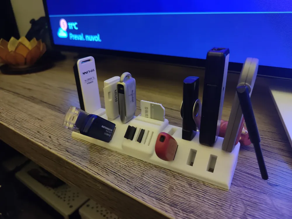 Portable memory support organizer - Free 3D Print Model - MakerWorld