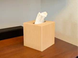 Kleenex Tissue Box Cover
