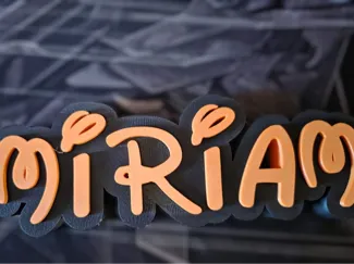 SCRITTA DISNEY