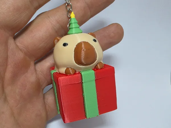 https://makerworld.bblmw.com/makerworld/model/US46cf79bc422387/design/2025-09-30_44fddb9226c7f.jpg