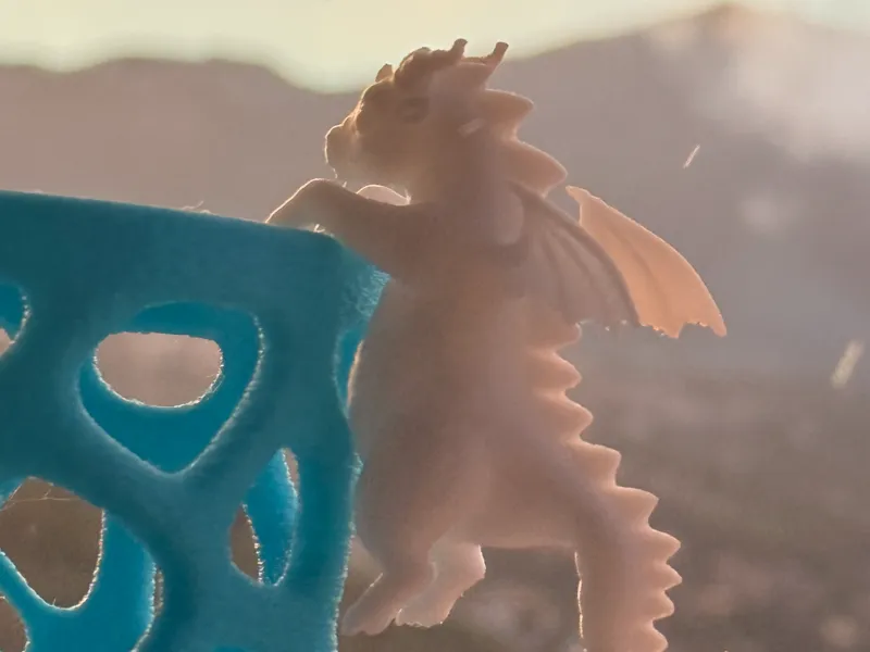 Chubby Dragon | The Hanging Buddy
