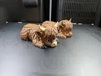 0.16mm layer, 2 walls, 15% infill