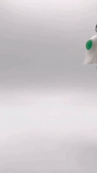Ghost Cat