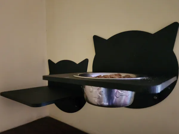 https://makerworld.bblmw.com/makerworld/model/US46e2974b77e1a1/design/2025-01-27_357b55552d5e4.jpg