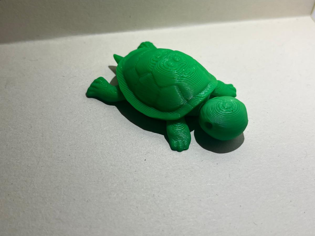 Flexible Schildkröte