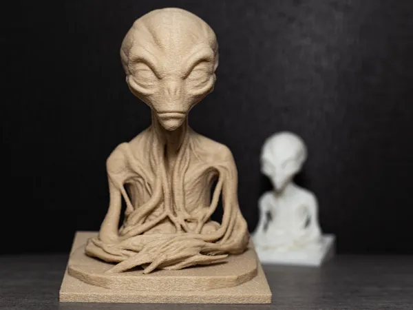 https://makerworld.bblmw.com/makerworld/model/US46e946c4b8bdaf/design/2025-02-23_b90fc5ef773148.jpg