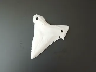 Realistic Shark Tooth