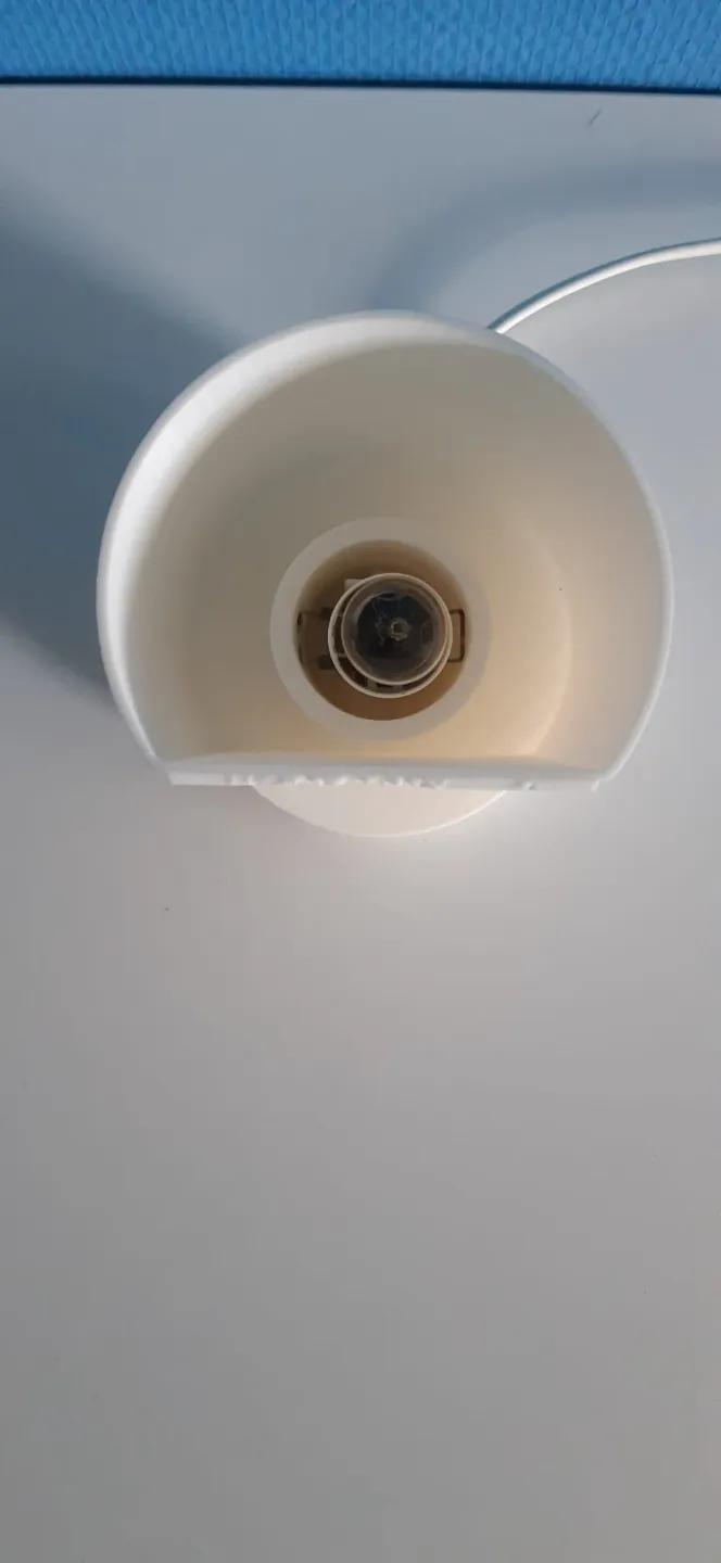 Lithophane Dog lamp