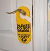hanger: Do not come in - unless puppy