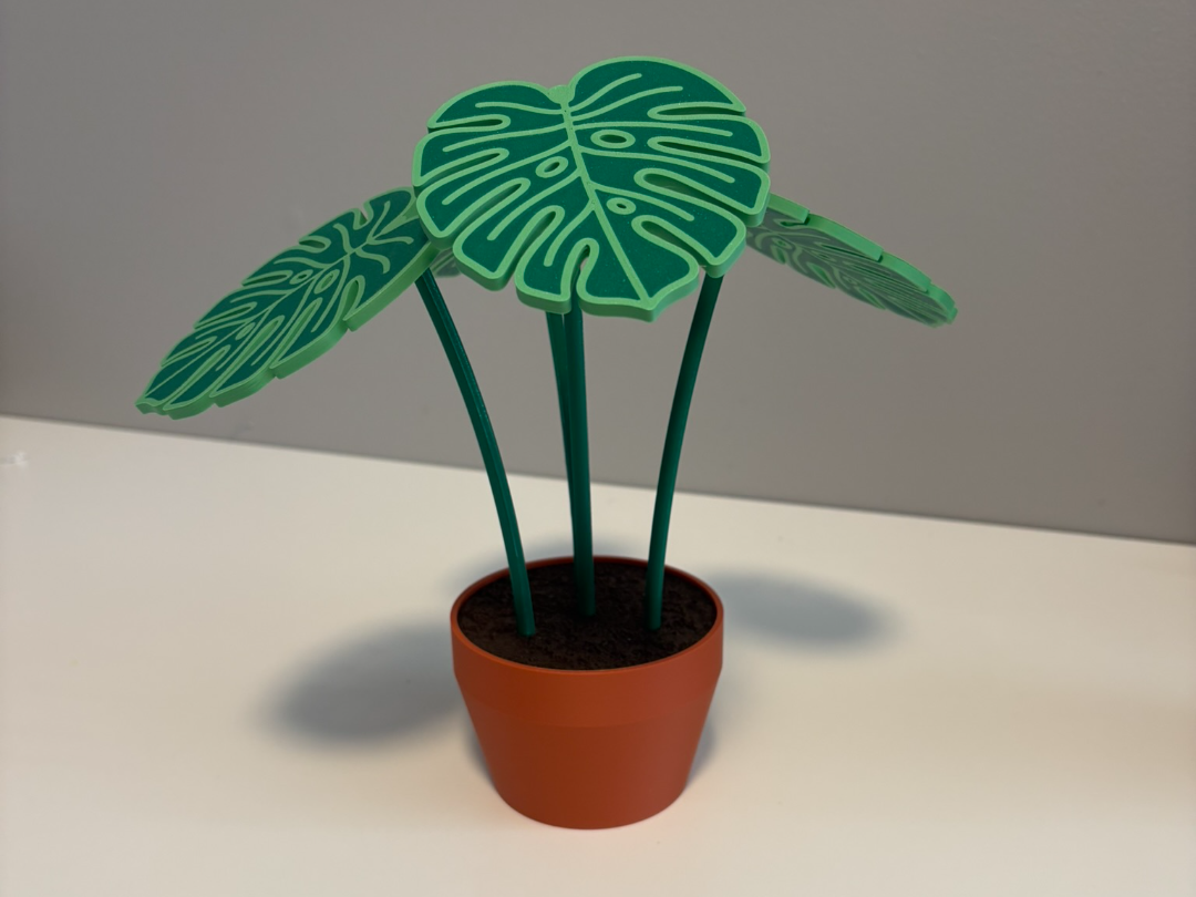 Monstera Leaf Coaster w/ Planter Holder