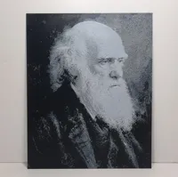 Darwin - 3-Color Grayscale - A1 Mini - 0.4mm Nozzle - V1