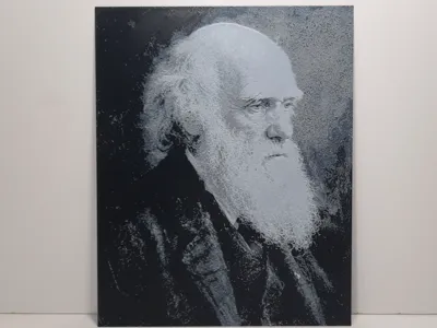 Charles Darwin Hueforge Portrait - 3-Color Graysc