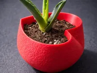 0.2mm layer, 4 walls, 10% infill