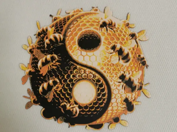 https://makerworld.bblmw.com/makerworld/model/US47050bb050ee6b/design/2024-12-24_101b5b75cae99.webp