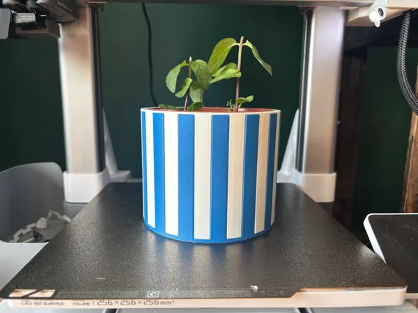 https://makerworld.bblmw.com/makerworld/model/US470a352c041ad3/design/2025-05-03_d27d583d604198.jpg