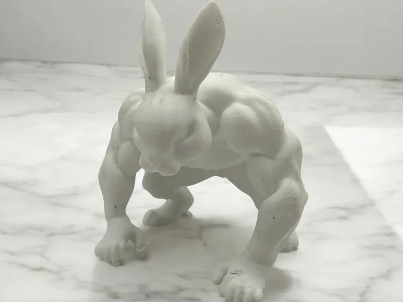 Muscular Bunny