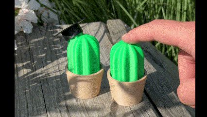 https://makerworld.bblmw.com/makerworld/model/US470b05995451ad/design/2025-06-20_c950ca496fec4.gif