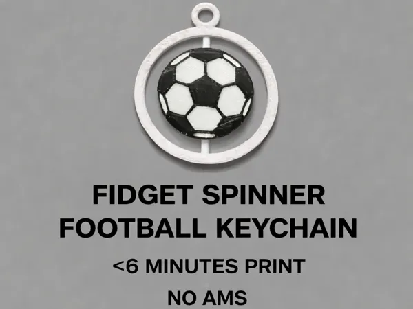 https://makerworld.bblmw.com/makerworld/model/US470b5f407ba565/design/b614975ee0346221.png