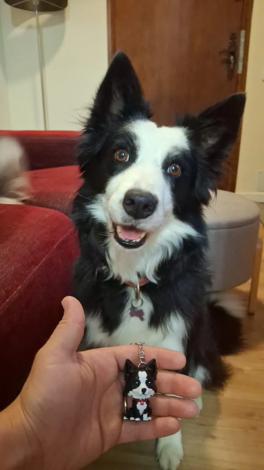 Border Collie - Free 3D Print Model - MakerWorld