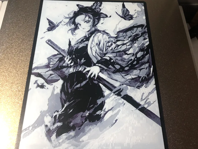 Shinobu Kocho