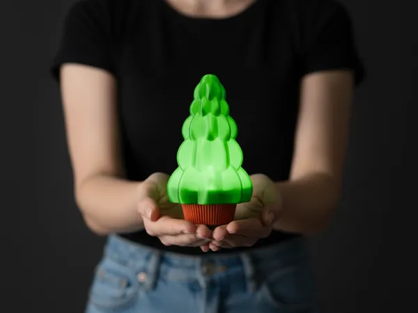 https://makerworld.bblmw.com/makerworld/model/US4713fc18d3723e/design/2025-12-09_8e9e49775cfae8.jpg