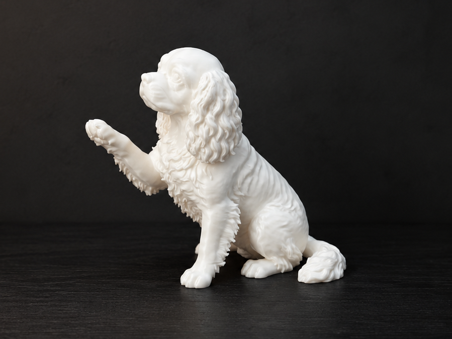 Command: Give me paw Cavalier King Charles Spaniel