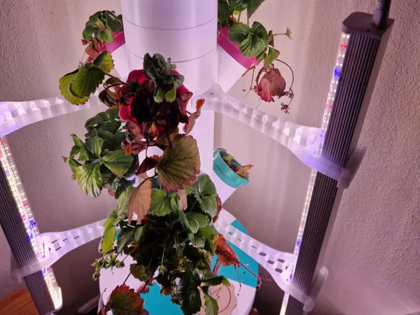 https://makerworld.bblmw.com/makerworld/model/US4715b984039319/design/2026-01-06_a9ea1eb1055d48.jpg