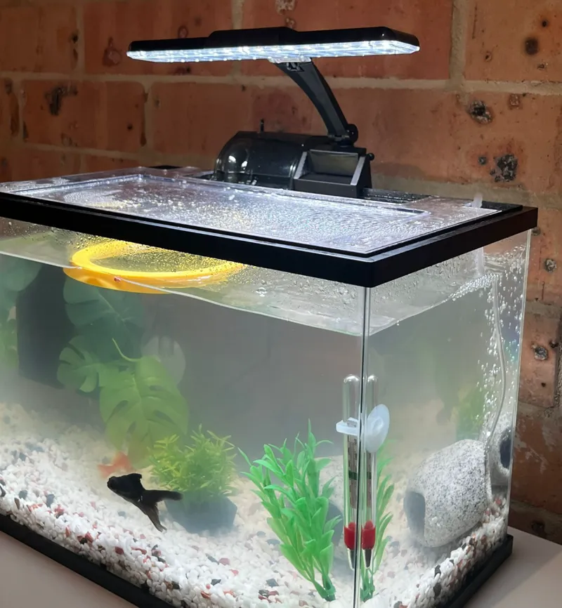 Fish tank light holder