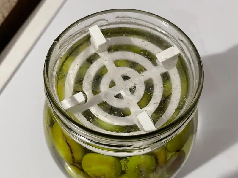 Aggeggio per tenere le olive sott'acqua
