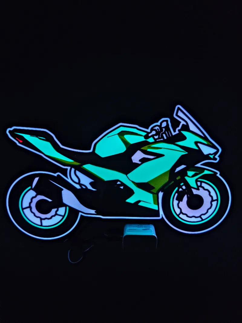 Kawasaki Ninja Light Box
