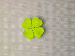 Lucky Four-Leaf Clover EDC