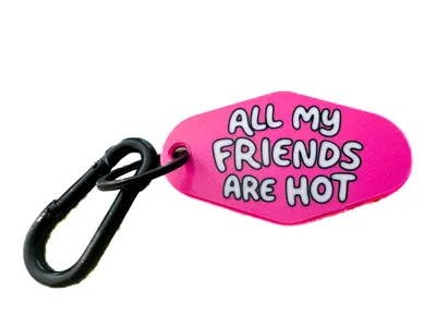 "All My Friends Are Hot" Key Chain Hanger