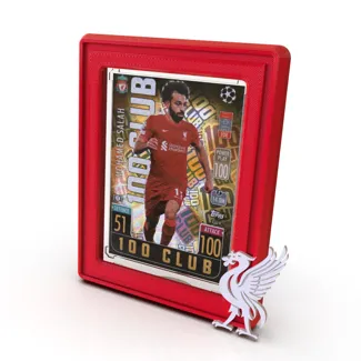 Trading Card Display Frame