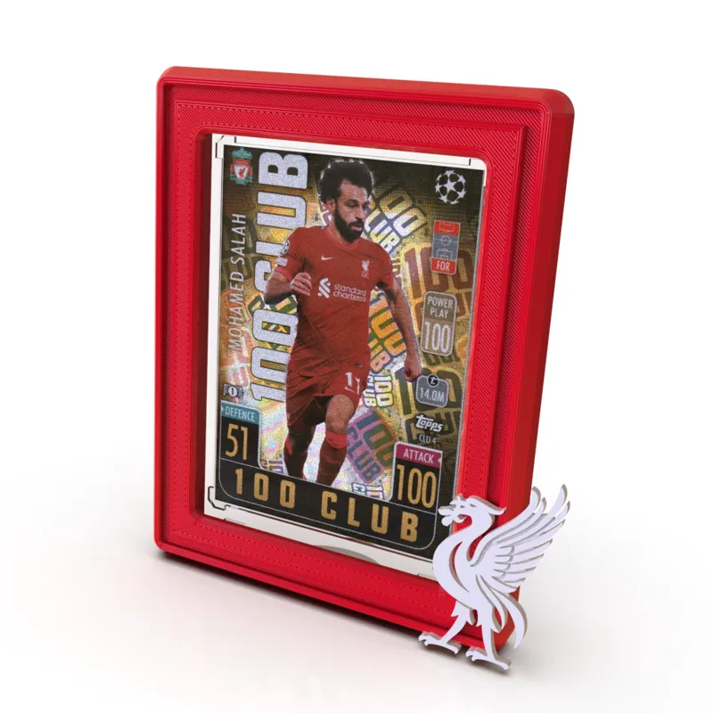 Trading Card Display Frame