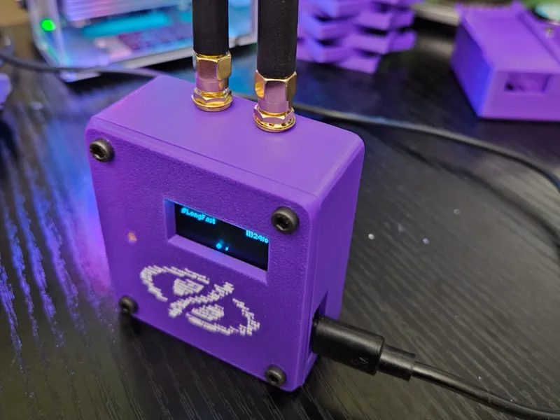 Mesh-detect case
