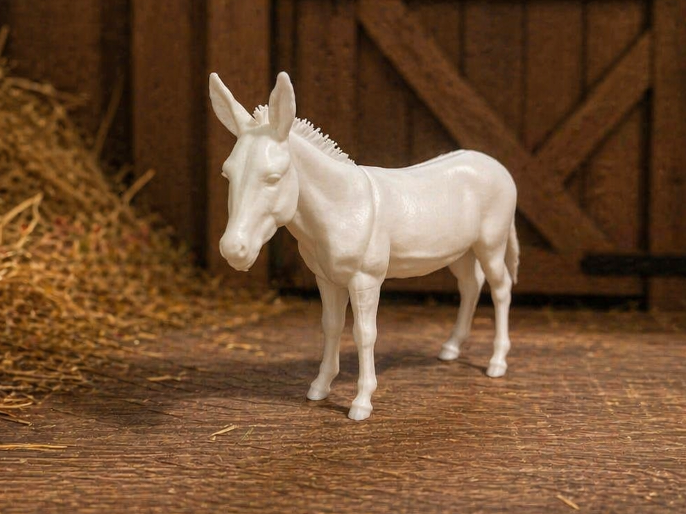Donkey - Burro - Animal - Decor