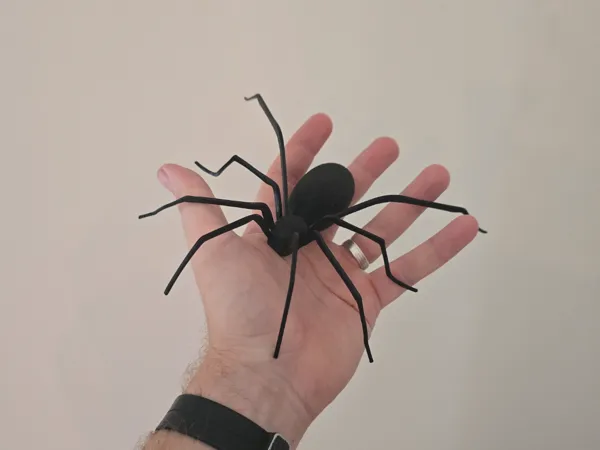 https://makerworld.bblmw.com/makerworld/model/US472b4c7eb9ade4/design/2025-09-07_806f1cf9f95cf.jpg