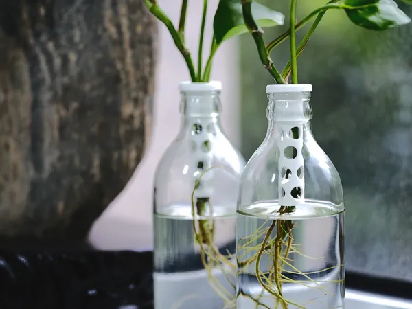 https://makerworld.bblmw.com/makerworld/model/US472d205220d6b4/design/2025-06-27_745cce71e97f9.jpg