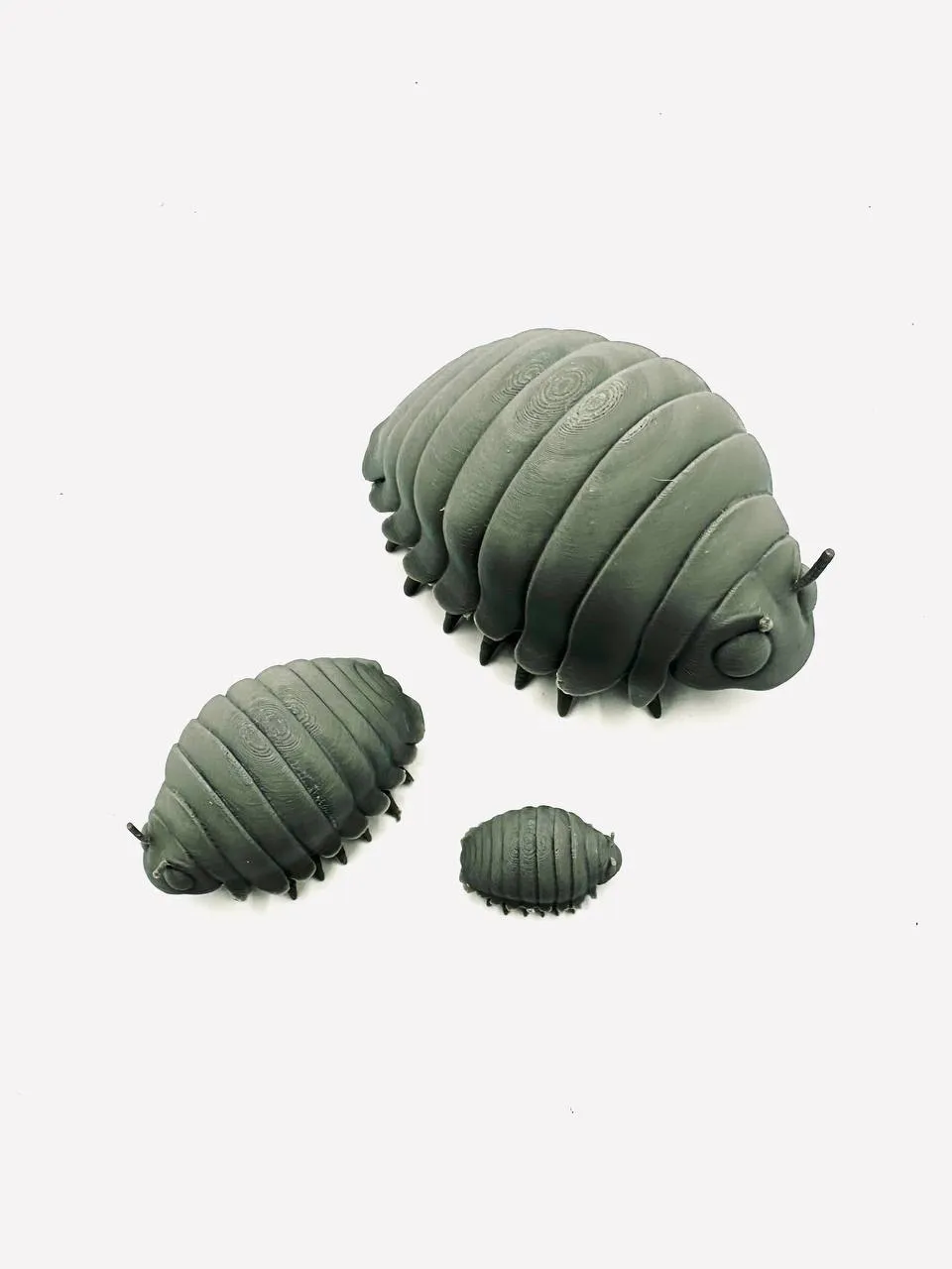 Cute Isopod by novYTerra🌿 MakerWorld: Download Free 3D Models