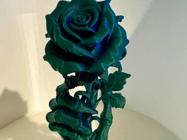 https://makerworld.bblmw.com/makerworld/model/US472e02c5138735/design/2025-08-30_595514ecfaa378.jpg