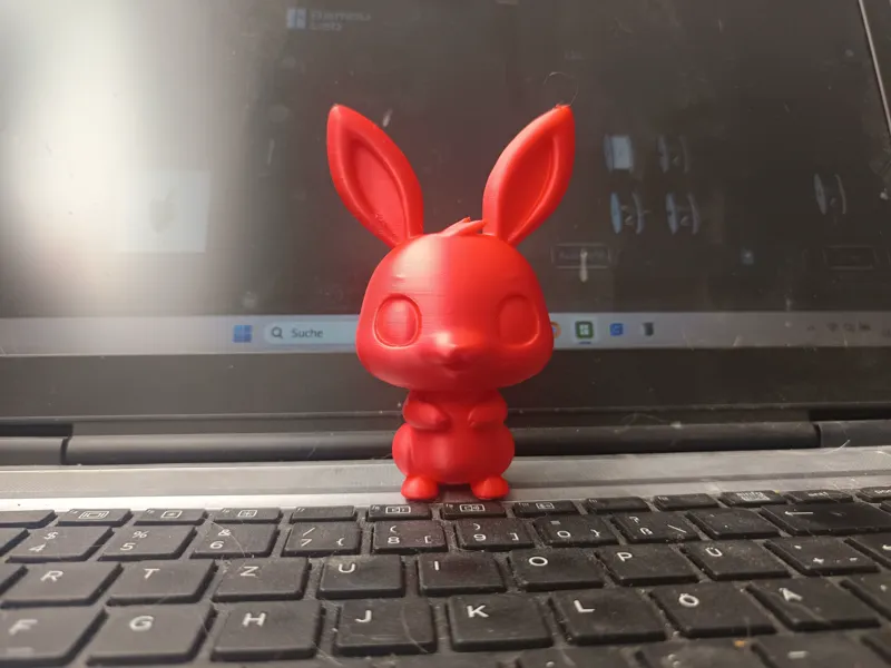 cute bunny