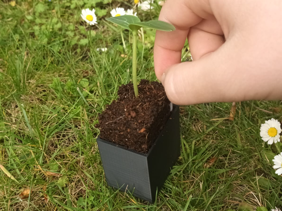 Seed Starter Pot  – Easy Lift System 4×3 cm