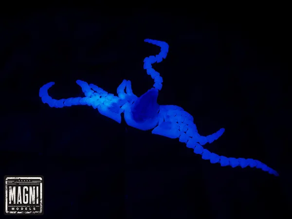 https://makerworld.bblmw.com/makerworld/model/US4738e047f1a11c/design/2025-01-20_a5ab8572de61b.jpg