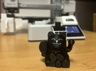 Cute Maneki-Neko (Lucky Cat) | Health & Protection
