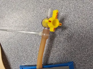 IV training arm