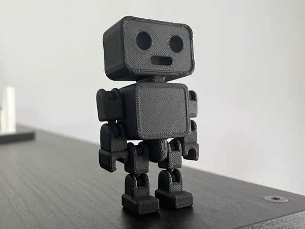 Robot